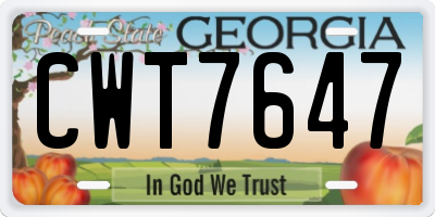 GA license plate CWT7647