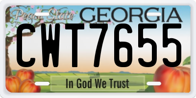 GA license plate CWT7655