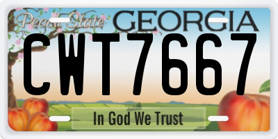 GA license plate CWT7667