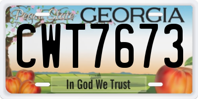 GA license plate CWT7673