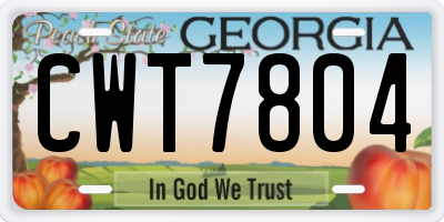 GA license plate CWT7804