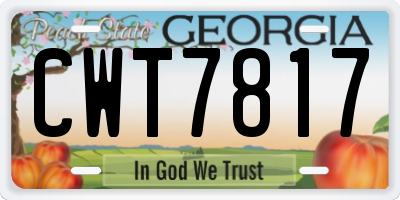 GA license plate CWT7817