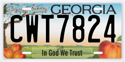 GA license plate CWT7824