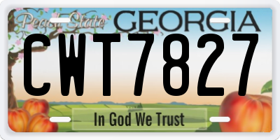 GA license plate CWT7827