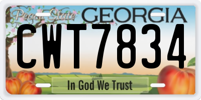 GA license plate CWT7834