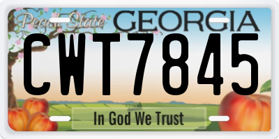 GA license plate CWT7845