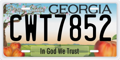 GA license plate CWT7852