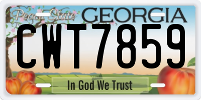 GA license plate CWT7859