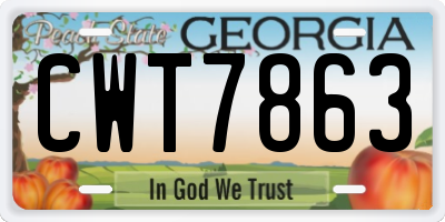 GA license plate CWT7863