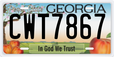 GA license plate CWT7867