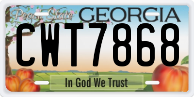 GA license plate CWT7868