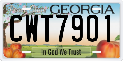 GA license plate CWT7901