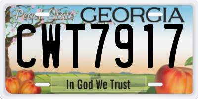GA license plate CWT7917