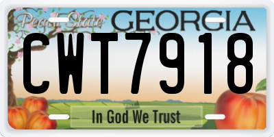 GA license plate CWT7918