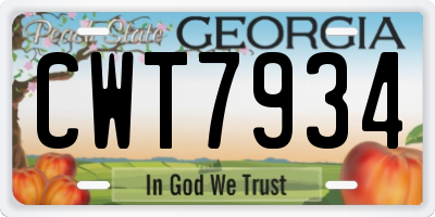 GA license plate CWT7934