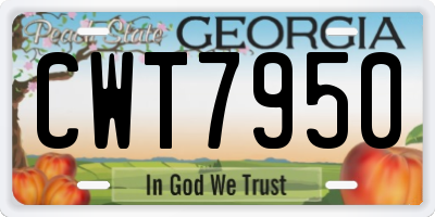 GA license plate CWT7950