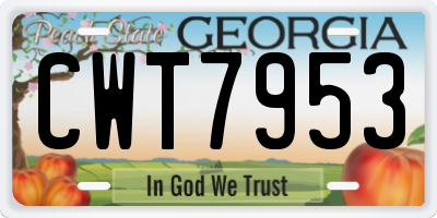 GA license plate CWT7953