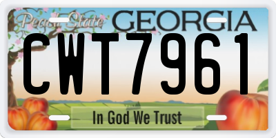 GA license plate CWT7961