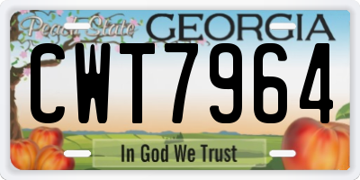 GA license plate CWT7964