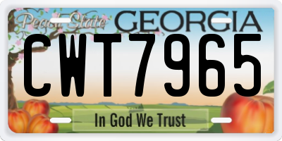 GA license plate CWT7965