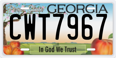 GA license plate CWT7967