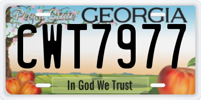 GA license plate CWT7977