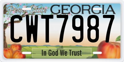 GA license plate CWT7987