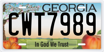 GA license plate CWT7989
