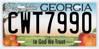 GA license plate CWT7990