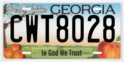GA license plate CWT8028