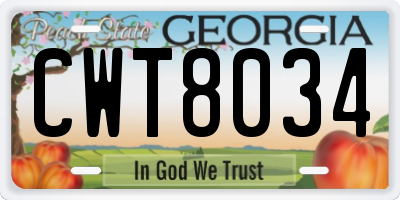 GA license plate CWT8034