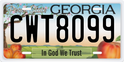 GA license plate CWT8099