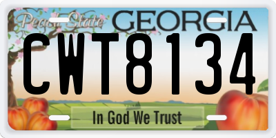 GA license plate CWT8134