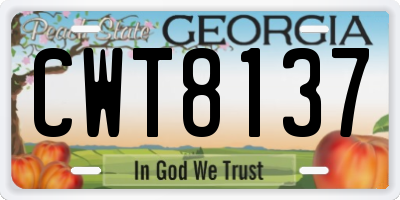 GA license plate CWT8137