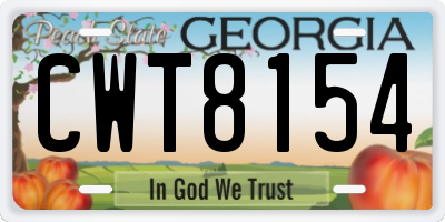 GA license plate CWT8154