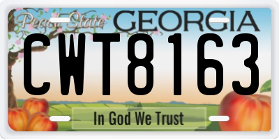 GA license plate CWT8163