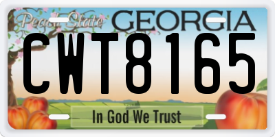 GA license plate CWT8165