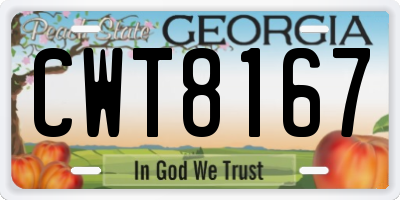 GA license plate CWT8167