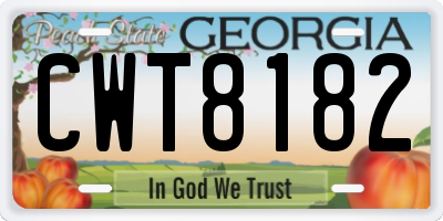 GA license plate CWT8182