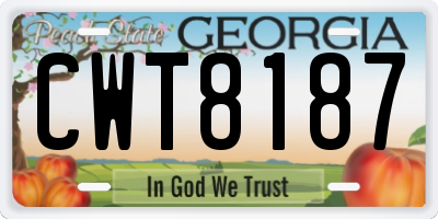 GA license plate CWT8187