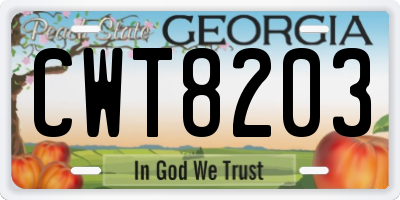 GA license plate CWT8203