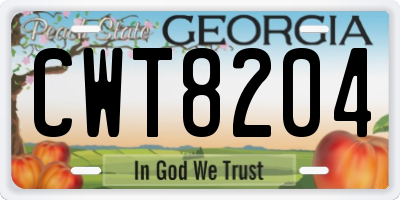 GA license plate CWT8204