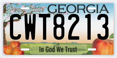 GA license plate CWT8213