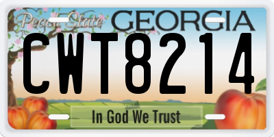 GA license plate CWT8214