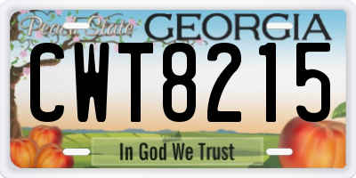 GA license plate CWT8215