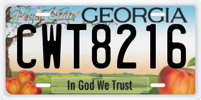 GA license plate CWT8216