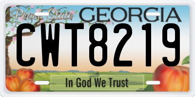 GA license plate CWT8219