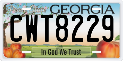 GA license plate CWT8229