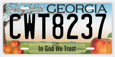 GA license plate CWT8237