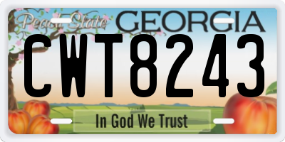 GA license plate CWT8243